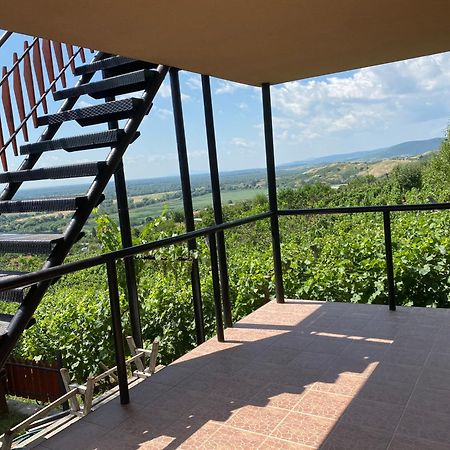 Feher Szolo Vendeghaz Sátoraljaújhely Bagian luar foto