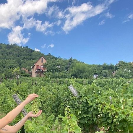 Feher Szolo Vendeghaz Sátoraljaújhely Bagian luar foto