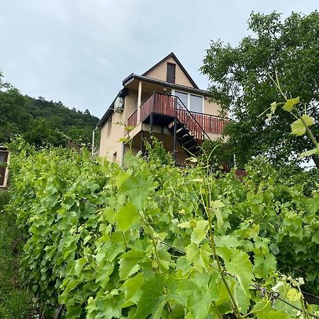 Feher Szolo Vendeghaz Sátoraljaújhely Bagian luar foto