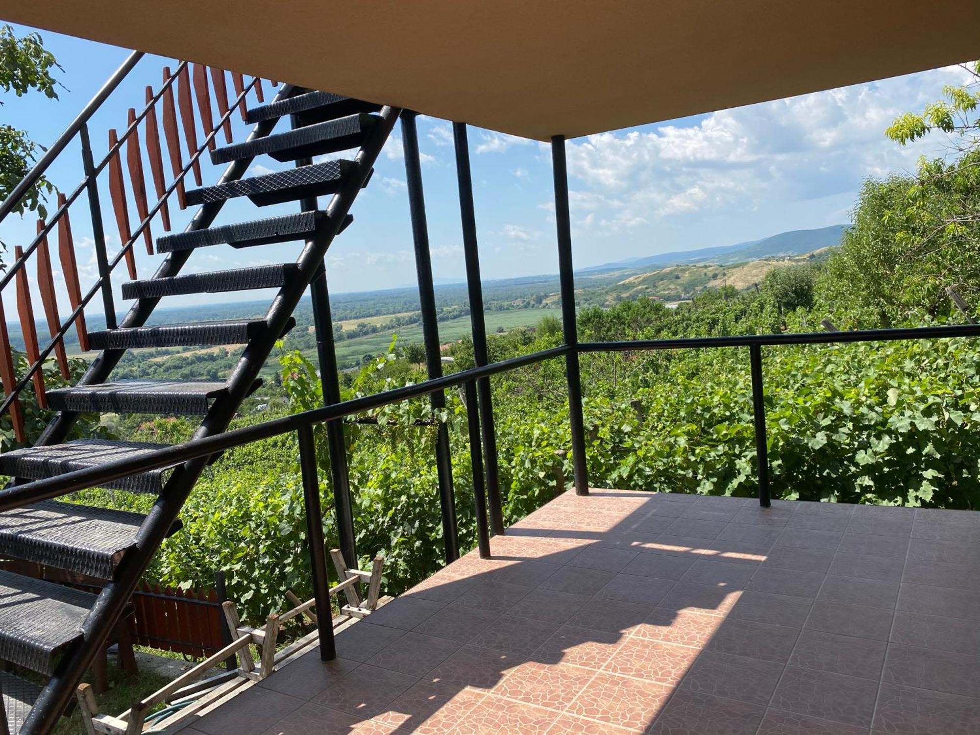 Feher Szolo Vendeghaz Sátoraljaújhely Bagian luar foto
