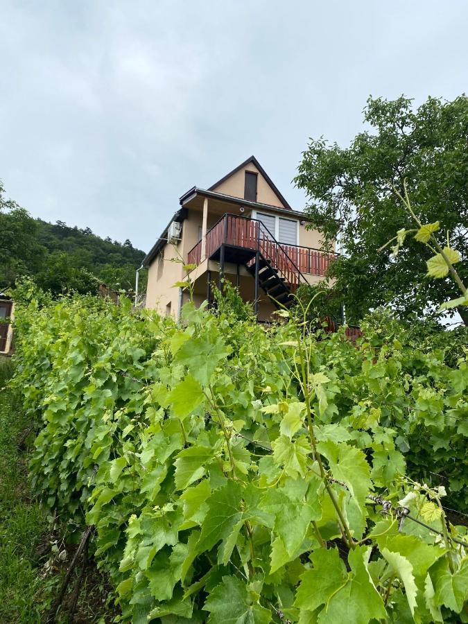 Feher Szolo Vendeghaz Sátoraljaújhely Bagian luar foto